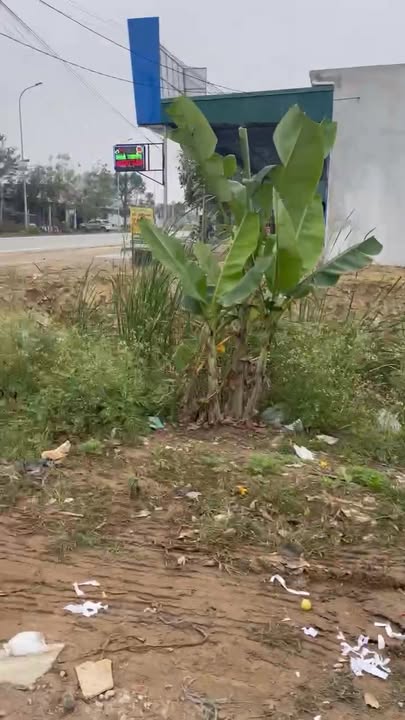 Đất nền 125m² Đường Thanh Niên, Xã Quảng Giao, giá 2 tỷ - Cơ hội đầu tư sinh lời!