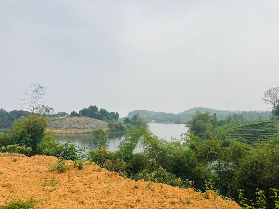 Lô đất Farm tại Lương Nha, Thanh Sơn, Phú Thọ 2.421m² - Đầu tư sinh lời cao!