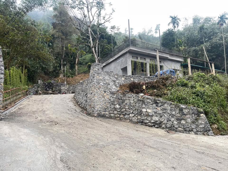 Farm Tân Hòa Hòa Bình 1,6ha giá 3 tỷ - View núi tuyệt đẹp!