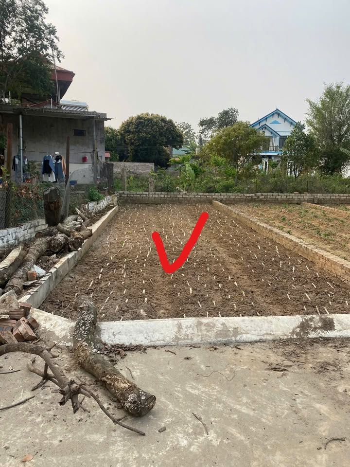 Đất nền Hòa Lạc 100m² giá 2 tỷ - Cơ hội đầu tư hấp dẫn!