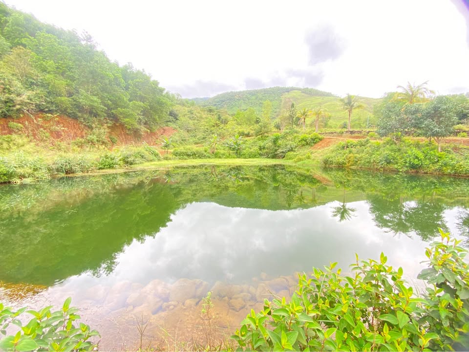 Đất Farm Nam Yên, Đà Nẵng 17.000m² giá 2 tỷ - Cần bán gấp trước Tết!