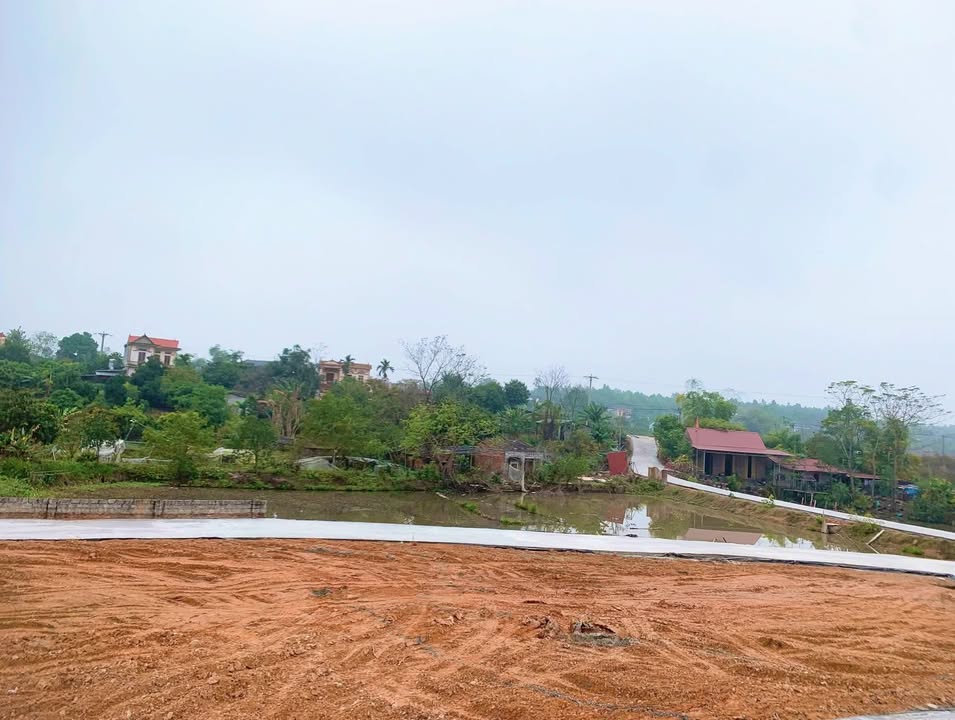 Đất nền 230m² tại Huyện Việt Yên, Bắc Giang - Giá chỉ 799 triệu - Gần khu công nghiệp và tiện ích