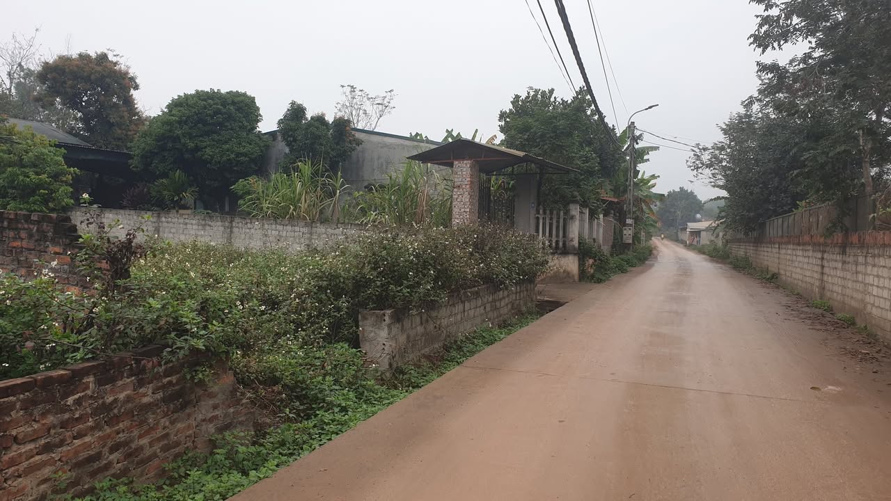 Đất nền 1200m² view hồ tại Thanh Vân, Huyện Tam Dương - Giá thỏa thuận hấp dẫn!