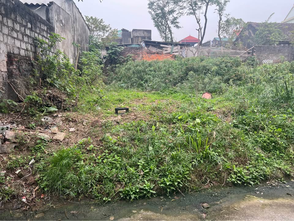 Đất thổ cư Kim Hoà, Duy Tiên 78m² - Đầu tư sinh lời ngay!