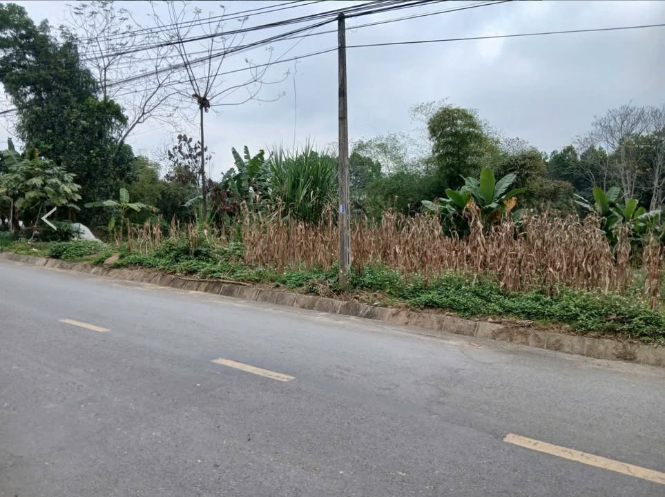 Lô đất Yên Bình 415m² giá 2.75 tỷ - Đầu tư sinh lời ngay!