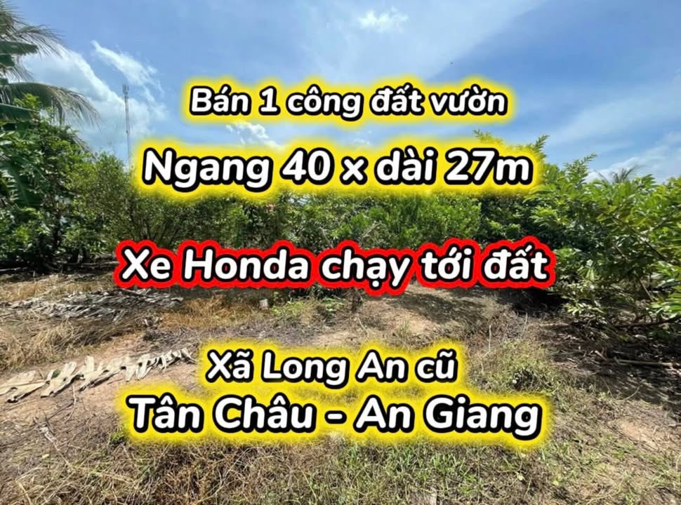 Đất vườn 1080m² tại Xã Long An, Tân Châu - Giá chỉ 200 triệu!