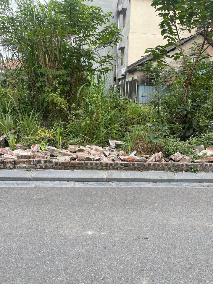 Đất nền Vân Nội Đông Anh 44m² giá thương lượng - Vị trí siêu tiện ích!