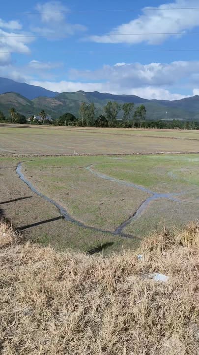 Farm đất Ninh Sơn 2880m² giá thỏa thuận - Đầu tư tiềm năng