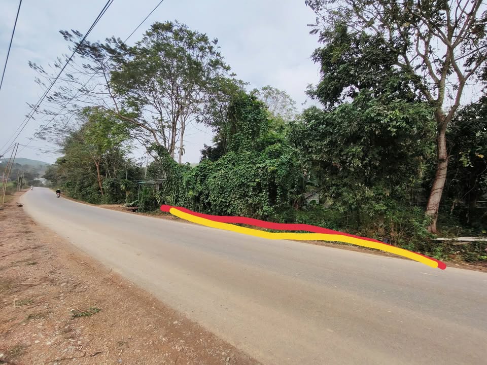 Đất nền Lộc Thịnh, Ngọc Lặc 115m² giá chỉ 500 triệu - Đầu tư sinh lời ngay!