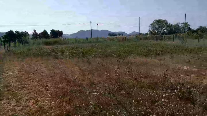 Đất nền Trần Lê, Huyện Cát Tiên, 450m² giá 20.25 tỷ - Đầu tư sinh lời ngay!