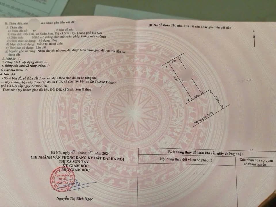 Đất thổ cư 100m² tại Phường Tùng Thiện, Sơn Tây - Cơ hội đầu tư sinh lời!