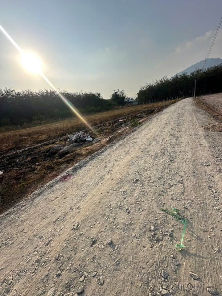 Đất thổ cư 145m² tại xã Phan, Tây Ninh - Vị trí đẹp, giá tốt cho đầu tư!