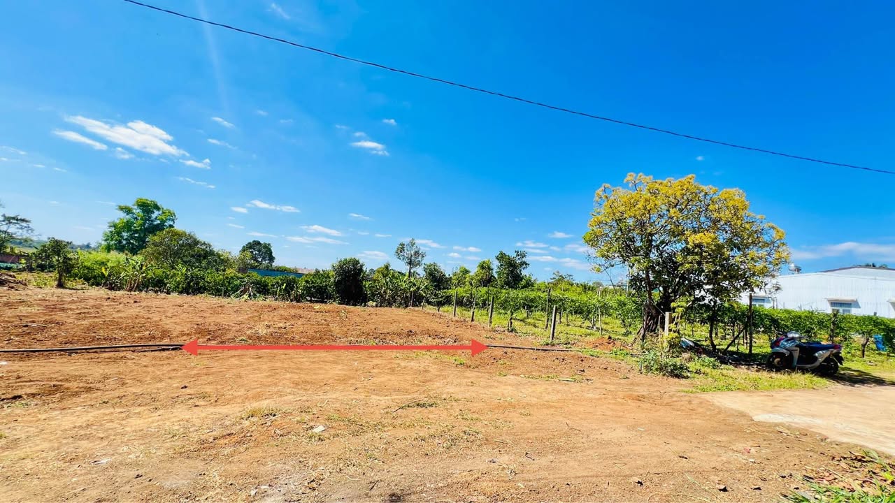 Lô đất Thống Nhất - Hẻm Chính 65 Nguyễn Kiệm 145m² - Giá tốt, vị trí đắc địa!