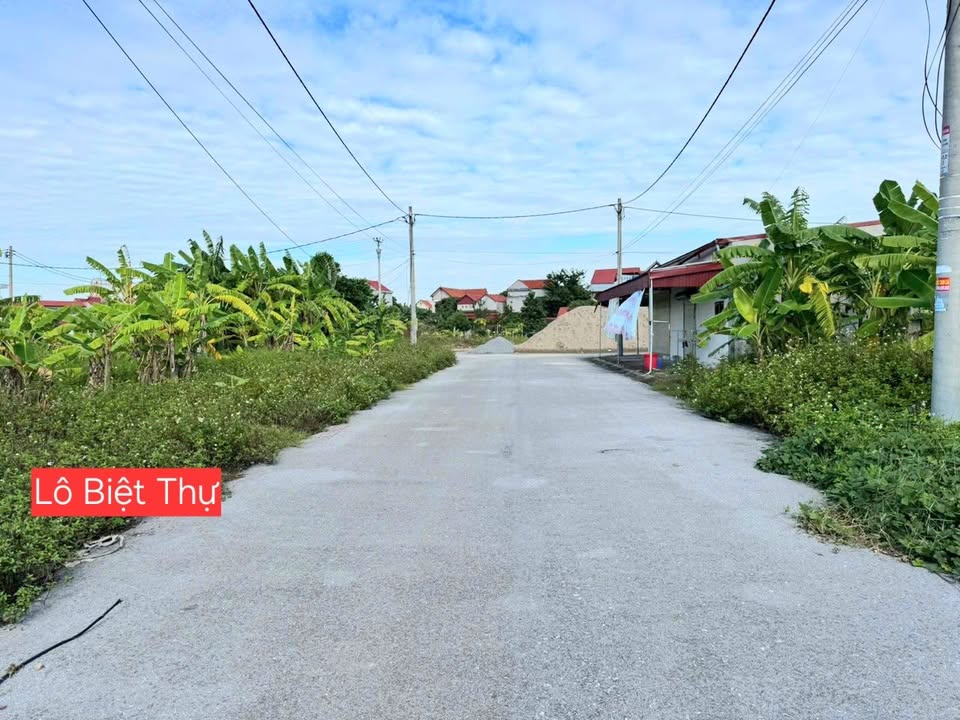 Bán gấp 2 lô biệt thự Phan Sào Nam, 123m² - Giá chỉ 1.6 tỷ/lô!