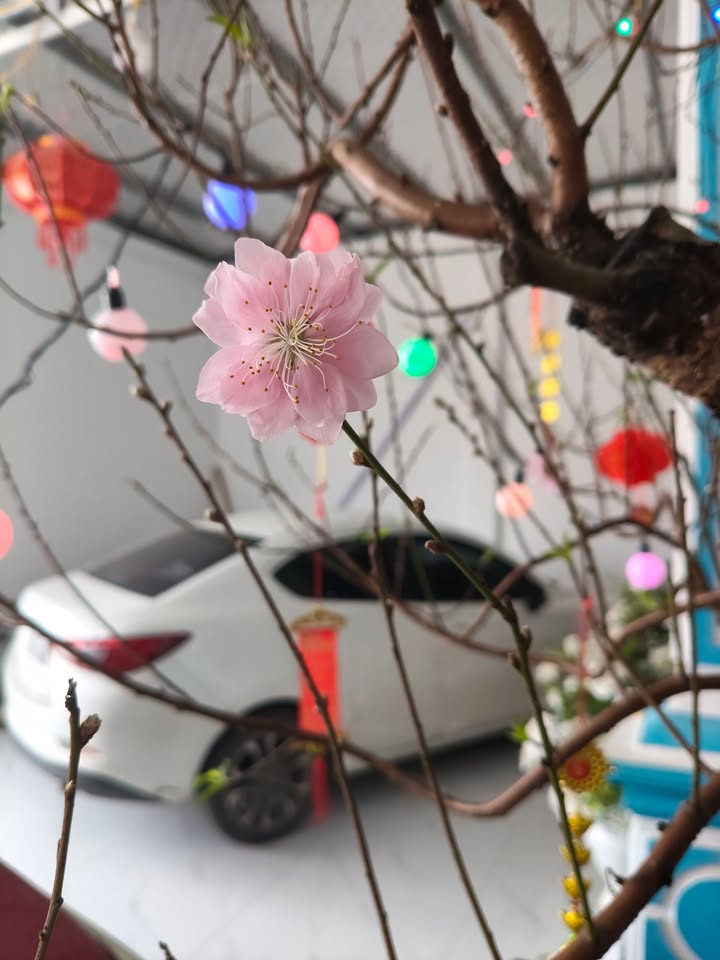 Đất nền 66m² Phủ Lý giá 1 tỷ - Vị trí đắc địa gần Đại học Công nghiệp