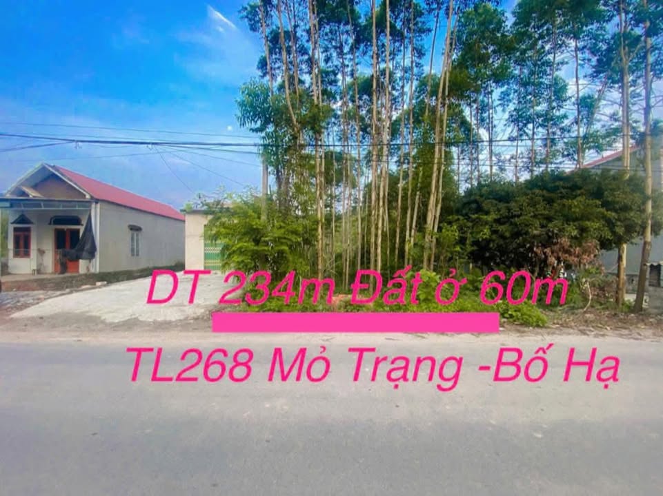 Đất nền 234m² tại TL 268, Yên Thế, Bắc Giang - Tiềm năng phát triển lớn!