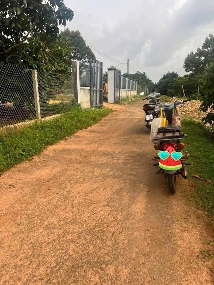 Farm Lộc Đức 1296m² giá 2.3 tỷ - Đầu tư sinh lời ngay!