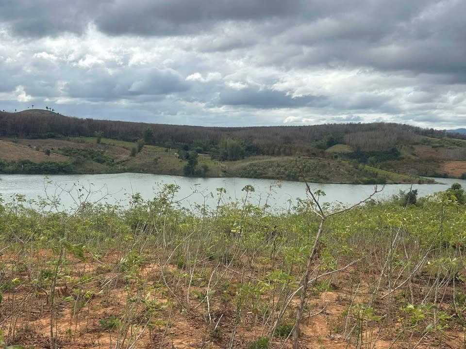 Đất Farm 2ha tại Đắk Blà, Kon Tum - View Hồ Đẹp Mộng Mơ!