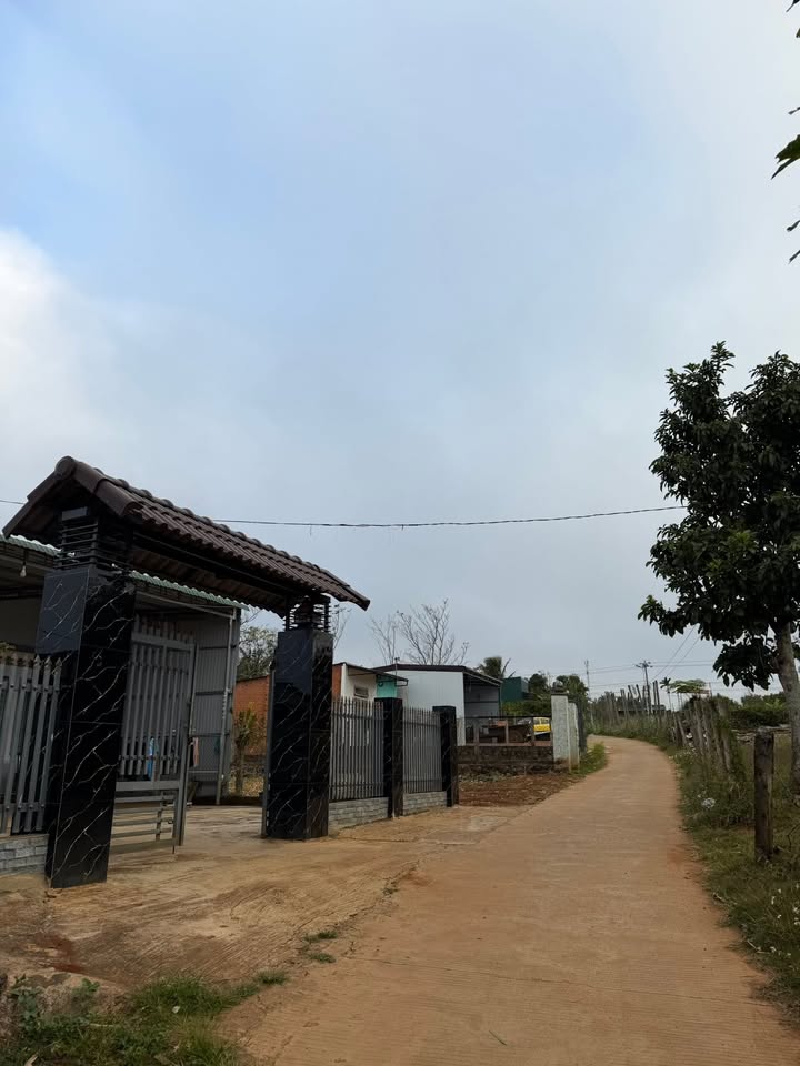 Đất thổ cư Khu Đồng Tiến, Phường Thiện An, 115m² - Đầu tư sinh lời ngay!