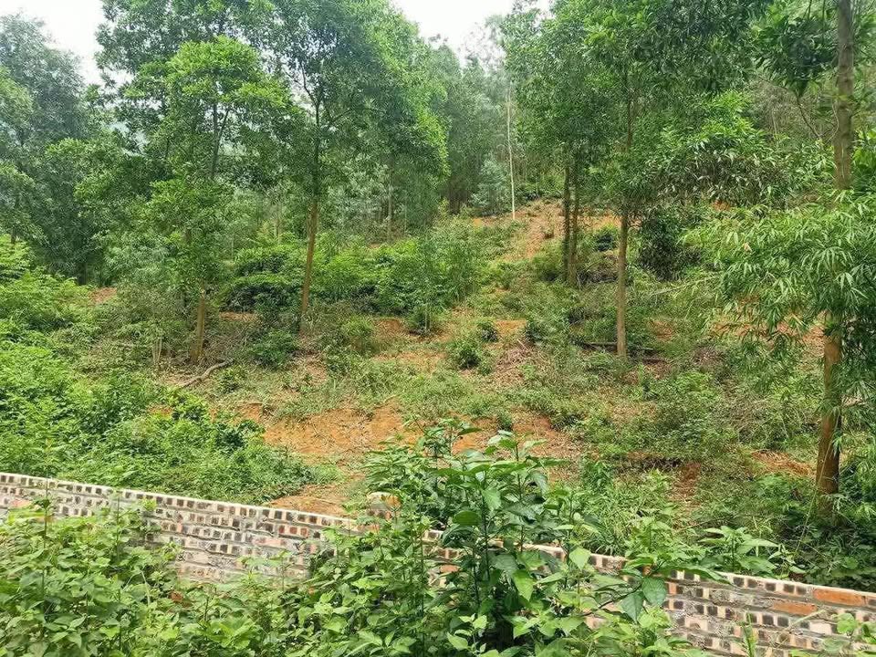 Đất nghỉ dưỡng Minh Phú, Sóc Sơn 7000m² giá 28 tỷ - Cơ hội đầu tư hấp dẫn!