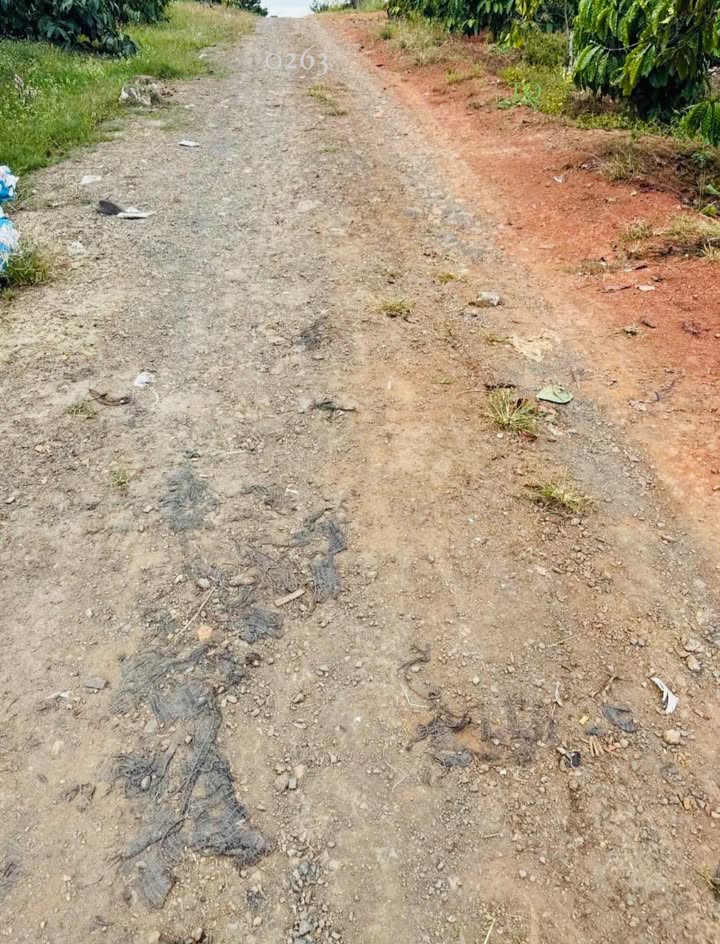 Đất thổ cư 4066m² xã Hòa Bắc - Giá chỉ 930 triệu - Cơ hội đầu tư tuyệt vời!