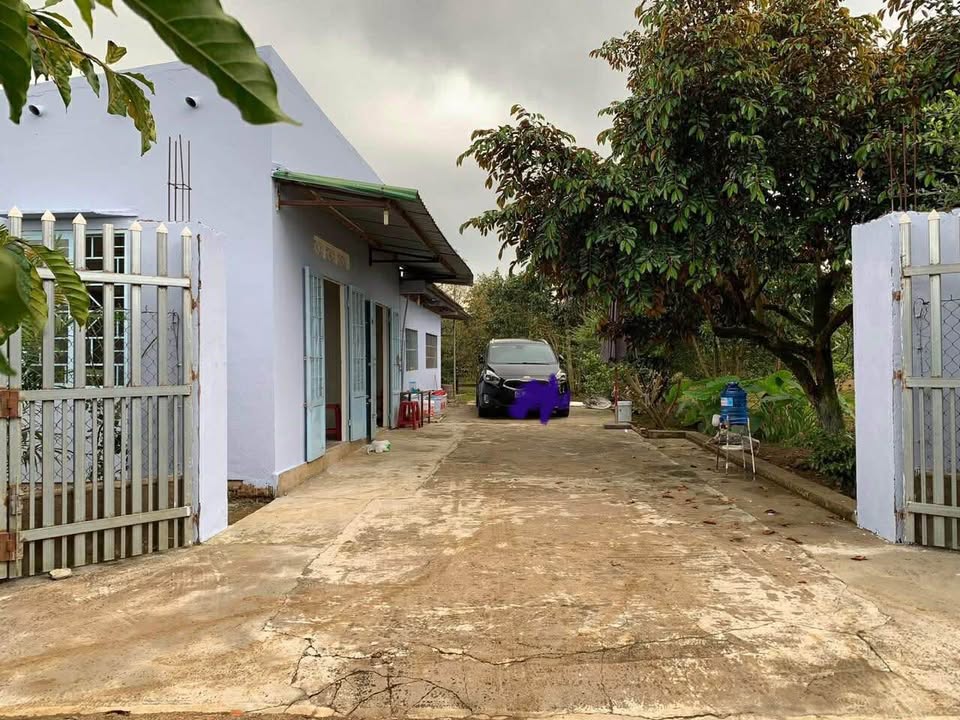 Nhà nguyên căn 540m² tại phường Lộc Tiến giá 2,5 triệu - Phù hợp vừa ở vừa trồng trọt!