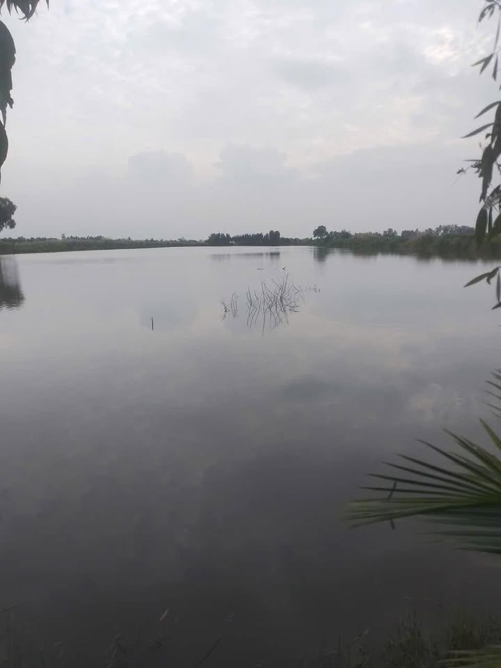 Đất nền 30000m² tại Ấp Ngọc Thành, Kiên Giang giá 1.3 tỷ - Đầu tư sinh lời ngay!