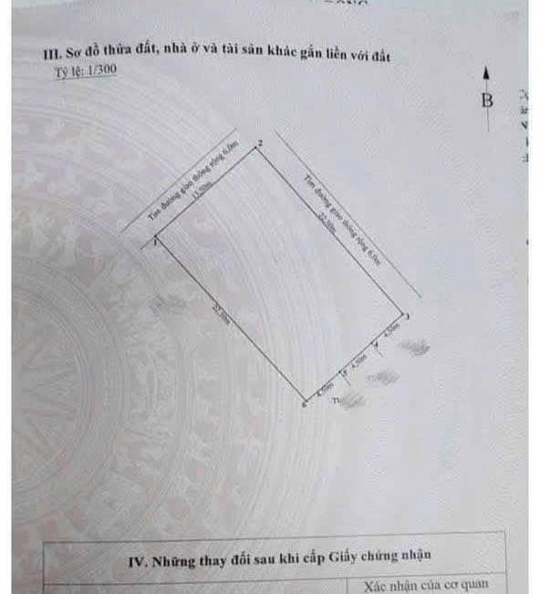 Đất Vĩnh Niệm, Quận Lê Chân 303m² giá 90.9 tỷ - Vị trí đắc địa, kinh doanh sinh lời!