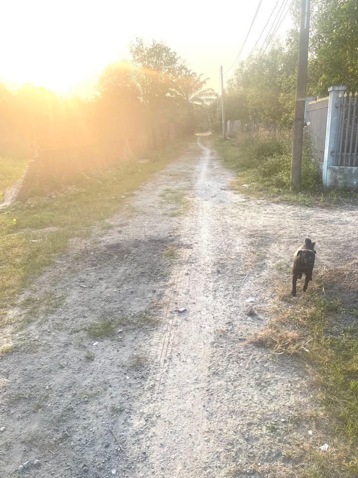 Đất nền xã Trung Lập Hạ, huyện Củ Chi, 340m² giá 2 tỷ - Đầu tư sinh lời ngay!