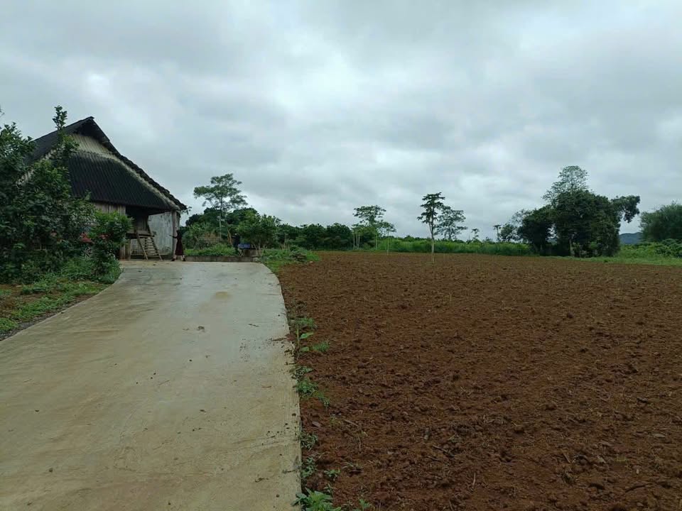 Lô đất bám suối Tân Lạc 8720m² giá 7 tỷ - Cực phẩm nghỉ dưỡng