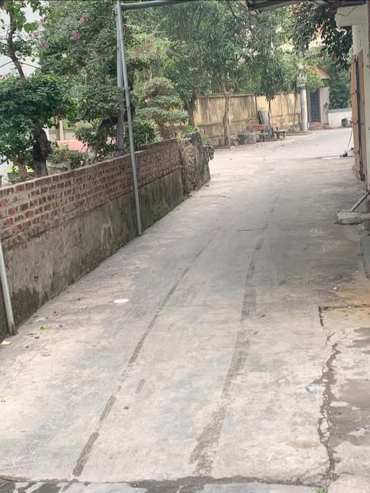 Đất thổ cư Vãng, Thị trấn Gia Lộc 61.7m² giá 2 tỷ - Cơ hội đầu tư tuyệt vời!