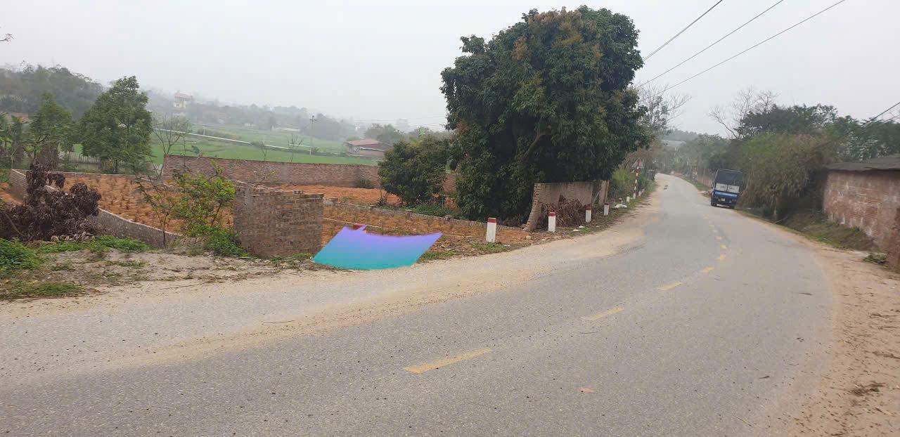 Đất nền trục chính đường 302 Hoàng Hoa, Tam Dương 104m² - Cơ hội đầu tư hấp dẫn!