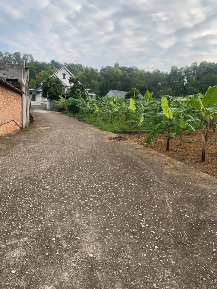 Đất nền Tân Lập, Huyện Lạng Giang, 167m² giá chỉ 6xx triệu - Cơ hội đầu tư tuyệt vời!