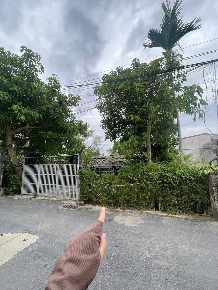 Đất nền 288.5m² Phường Quang Trung, Thành phố Vinh - Giá chỉ 6.8 tỷ, vị trí đắc địa!