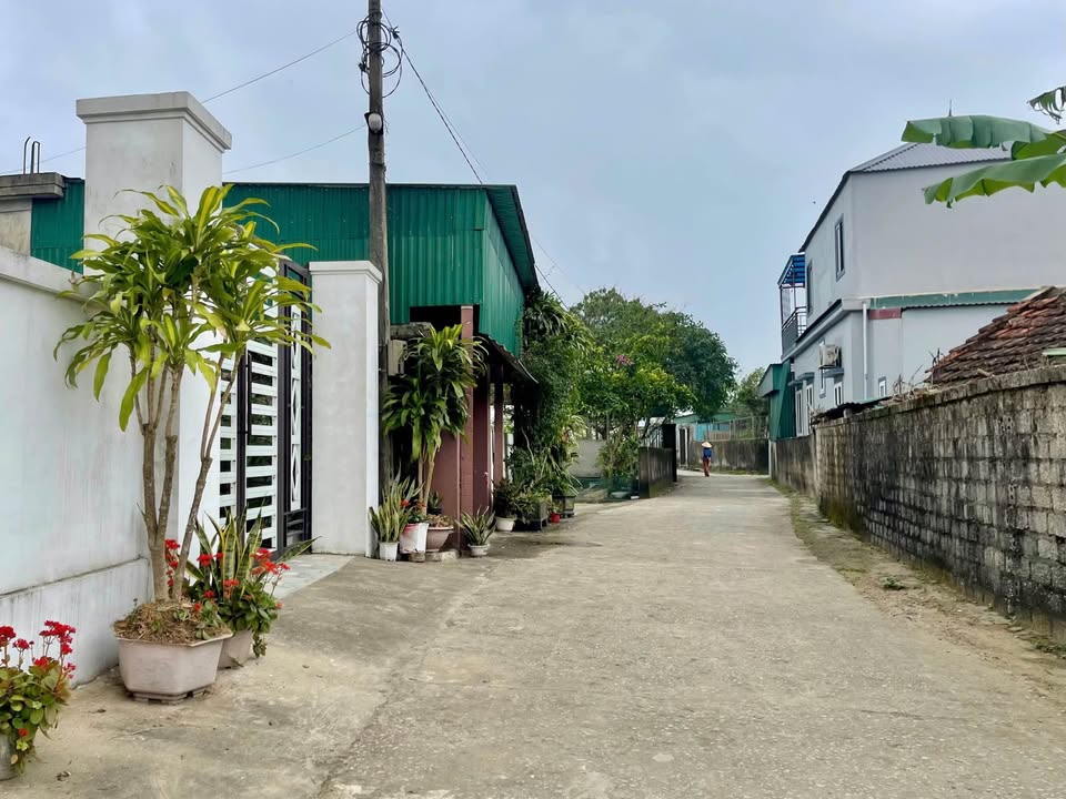 Đất nền Nghi Thái, 123m² giá chỉ 1.4 tỷ - Đầu tư sinh lời ngay!