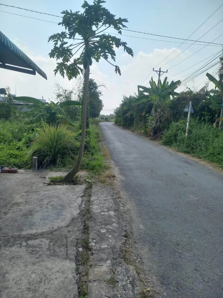 FrontHouse mặt tiền Bùi Tấn, Tân Khánh, 224m² giá 1.45 tỷ - Đầu tư sinh lời tốt!