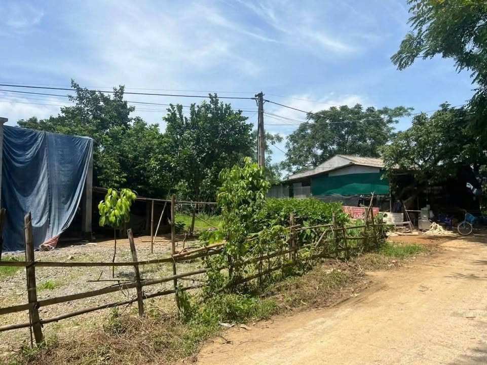 Đất nền xóm Tớn, Phú Vinh, Tân Lạc, Hòa Bình 507m² giá chỉ 320 triệu - Đầu tư sinh lời ngay!