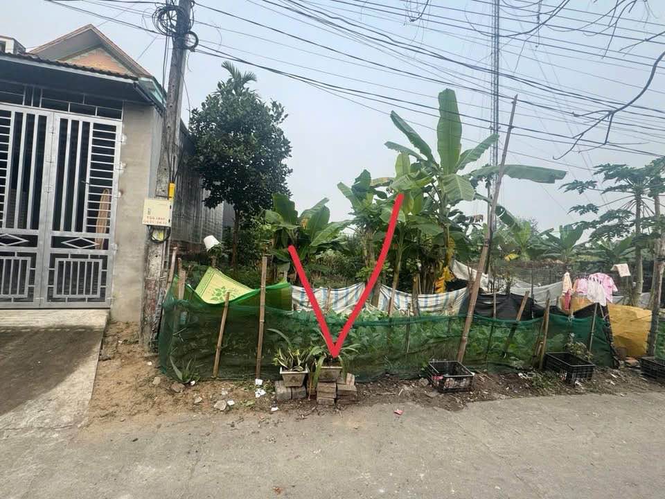 Đất thổ cư Xóm 10 Trung Môn 360m² giá 2 tỷ - Đầu tư sinh lời ngay