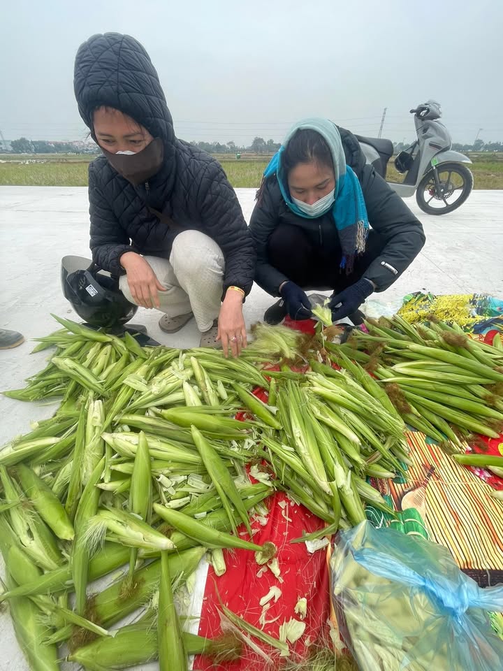 Đất nền Phụng Thượng 80m² giá 2.4 tỷ - Đường ô tô dễ dàng di chuyển!