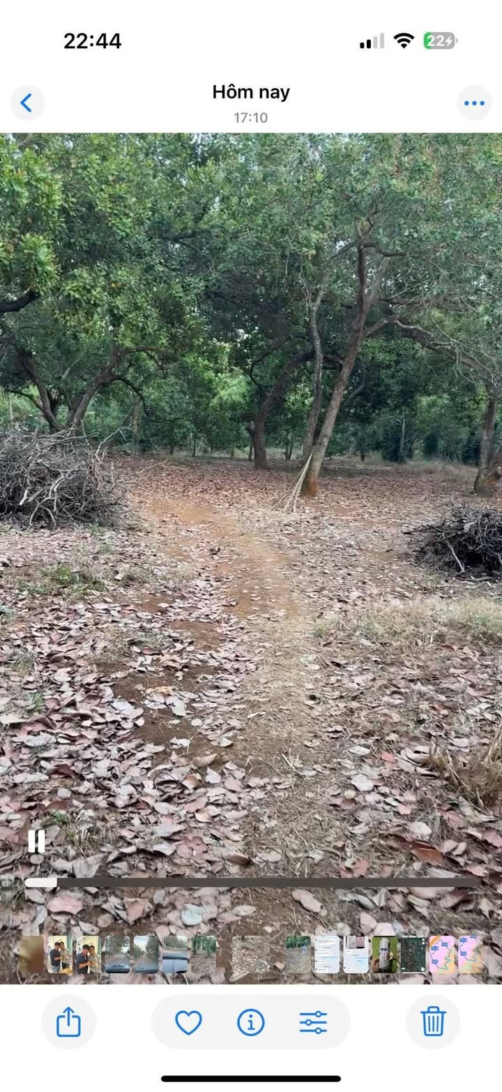 Đất Farm 30,000m² tại ấp 3pếch, xã Tân An, huyện Vĩnh Cửu - Giá Thỏa Thuận