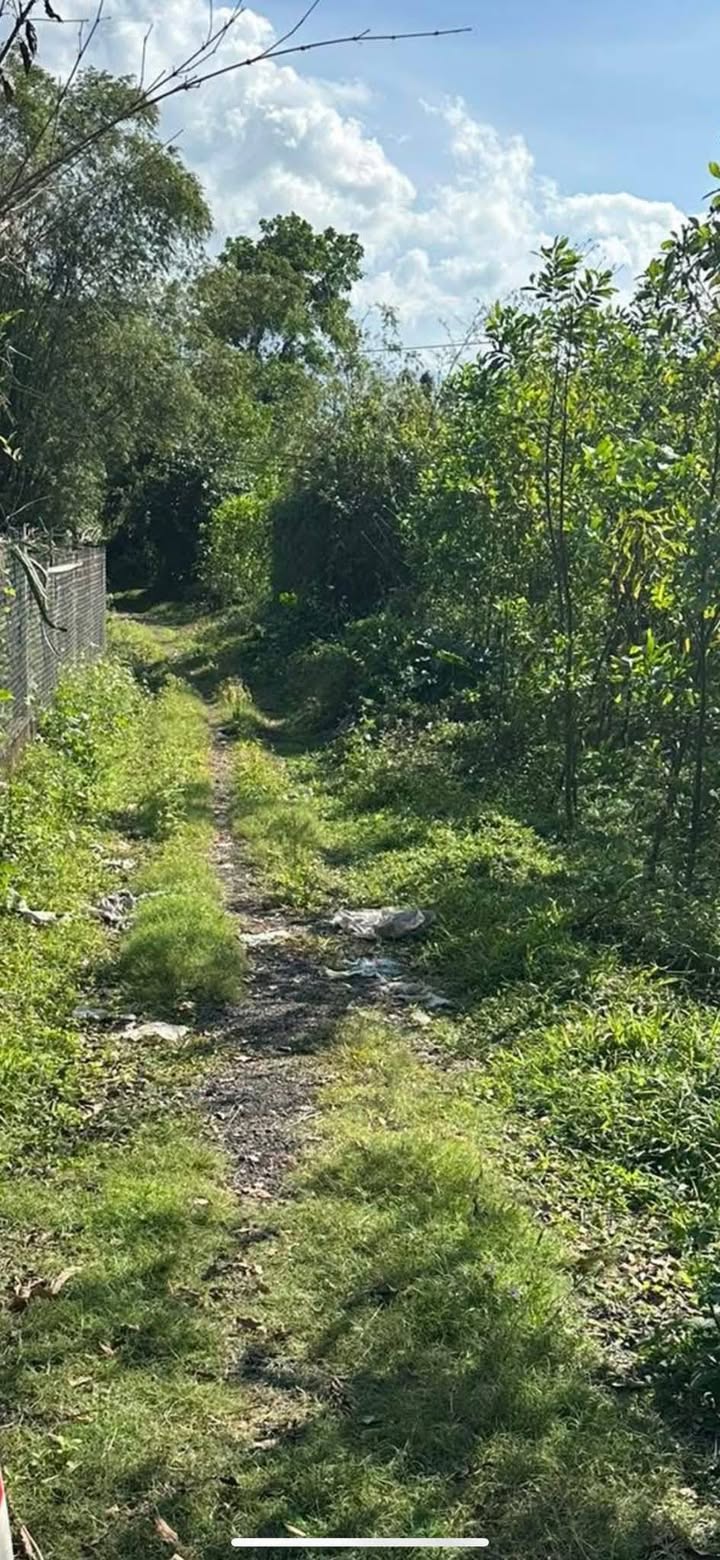 Đất trồng cây lâu năm xã Hưng Lộc 364m² giá 500 triệu - Cơ hội đầu tư hấp dẫn!