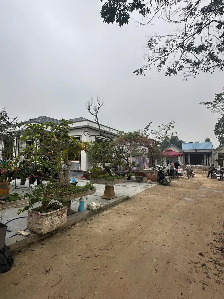 Bán đất FrontHouse 100m² tại Xã Kim Sơn, Hà Nội - Giá chỉ 2 tỷ!