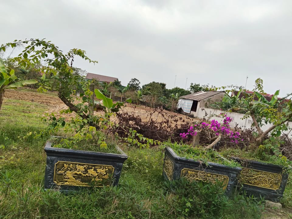 Đất nền 180m² tại Cẩm Quang, Cẩm Xuyên - Giá tốt cho đầu tư!