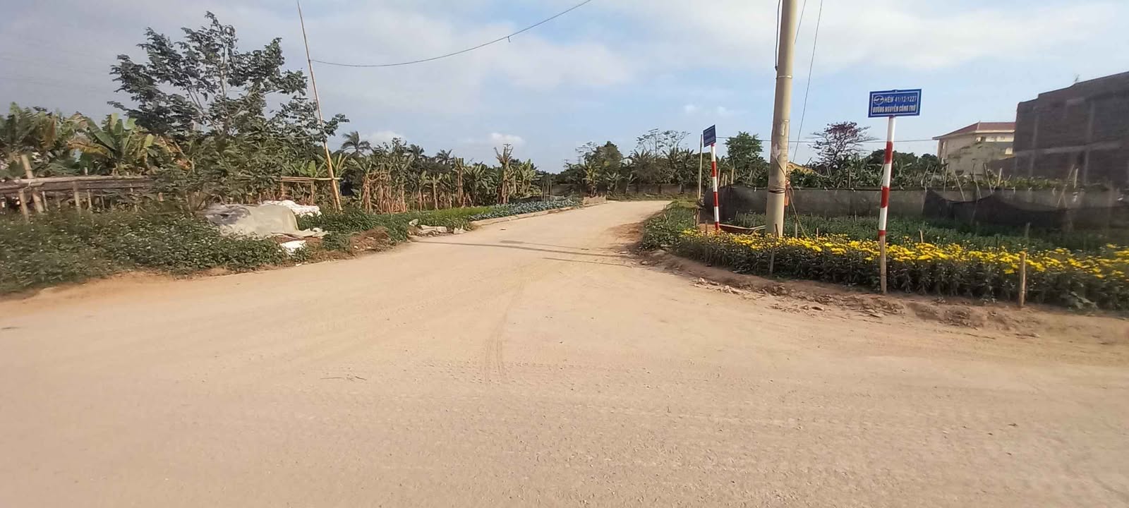 Đất nền phố Hòa Bình, Nam Thành, 100m² giá chỉ 2.3 tỷ - Cơ hội đầu tư hấp dẫn!