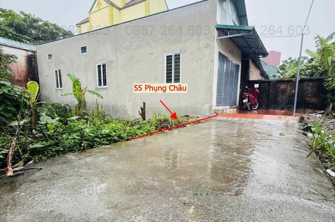Đất nền Phượng Đồng, Chương Mỹ 55m² giá 3 tỷ - Sổ đỏ chính chủ, ô tô vào tận nơi!