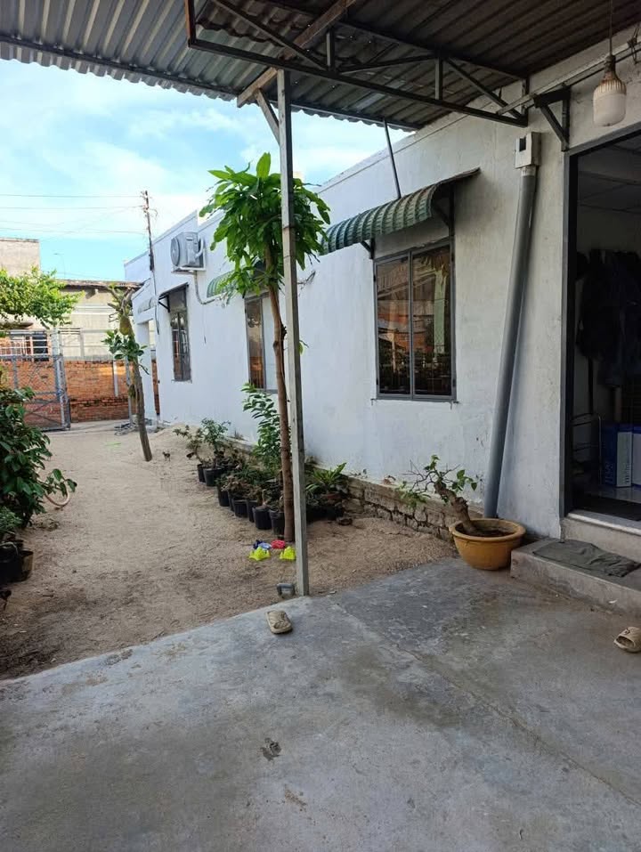 Nhà cấp 4 Phước Dân, Ninh Phước 163m² giá 990 triệu - Chính chủ bán gấp!