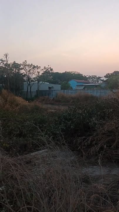 Đất nền liền kề Quảng Tiến, Trảng Bom 155m² giá 1.4 tỷ - Sổ riêng thổ cư, cơ hội đầu tư tuyệt vời!