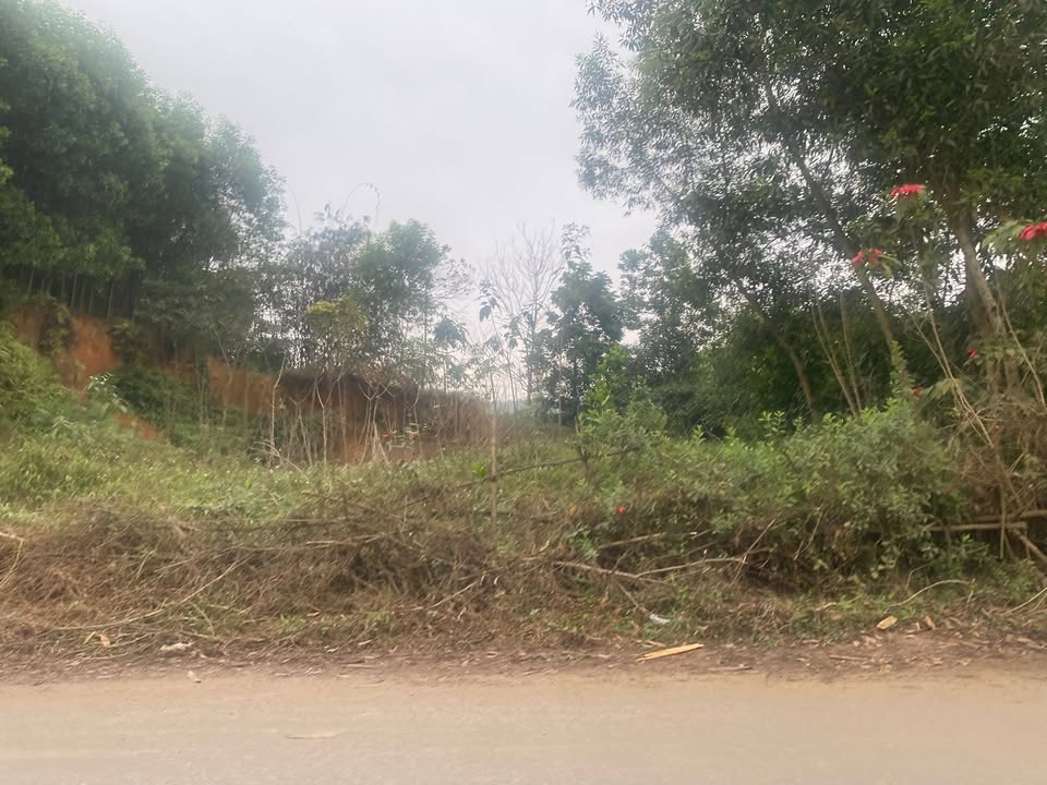 Đất nền thổ cư 500m² mặt đường 20m tại Vĩnh Yên - Giá chỉ 750 triệu!