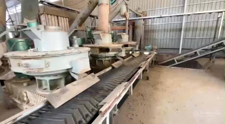 Nhà xưởng & dây chuyền sản xuất viên nén gỗ Hạ Hòa 10.500m² giá 16 tỷ - Đầu tư sinh lời ngay!