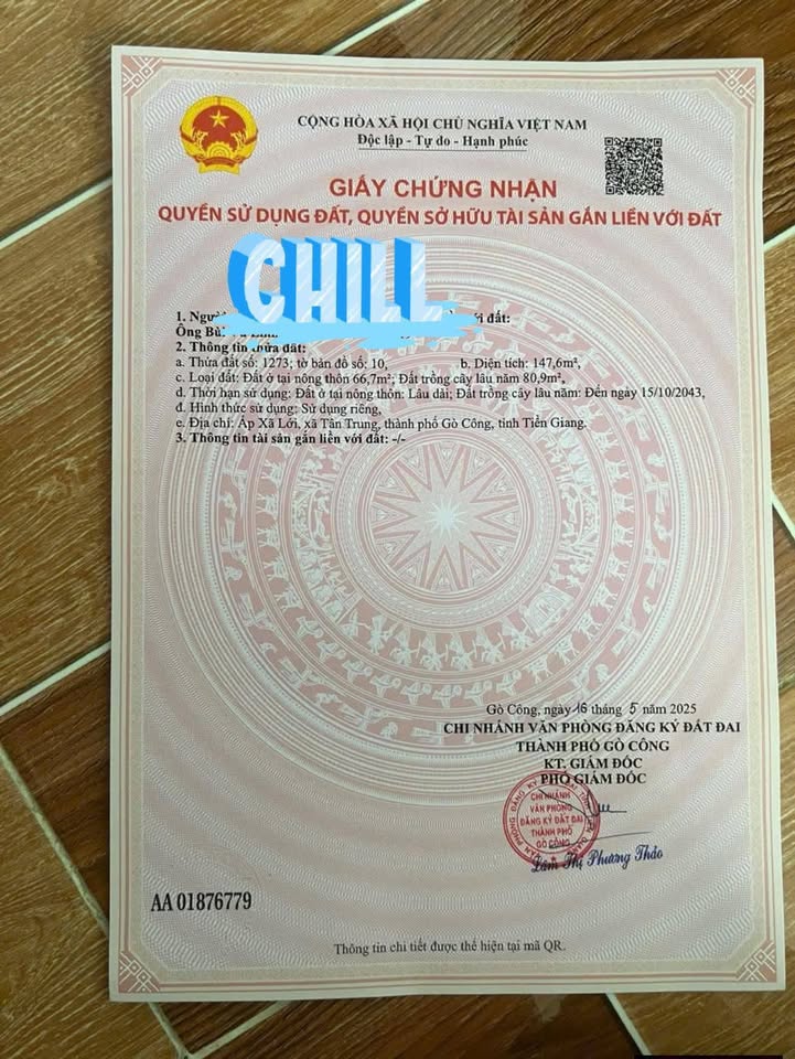 Đất nền 150m² tại Ấp Xã Lới, Quận Tân Phú - Giá chỉ 390 triệu - Sổ hồng đầy đủ!